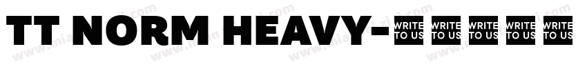 TT NORM HEAVY字体转换